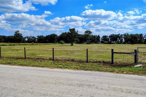 Land in Riverview, Florida № 2379544 - photo 5