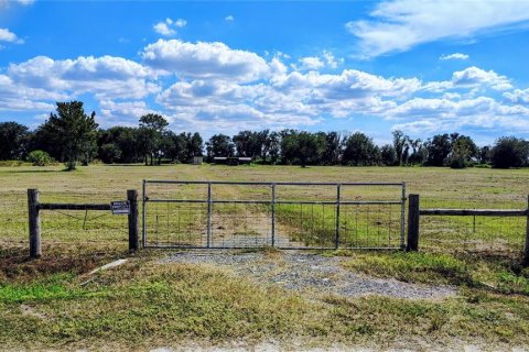 Land in Riverview, Florida № 2379544 - photo 4