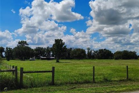 Land in Riverview, Florida № 2379544 - photo 2