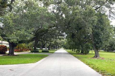 House in Coral Gables, Florida 6 bedrooms, 384.15 sq.m. № 1848997 - photo 27
