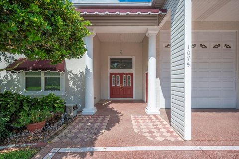 Villa ou maison à vendre à Polk City, Floride: 3 chambres, 270.72 m2 № 1901828 - photo 3