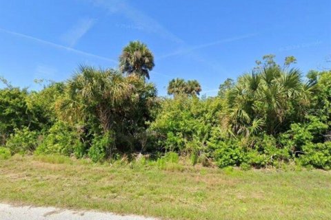 Land in Port Charlotte, Florida № 2166078