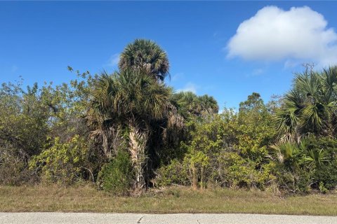 Land in Port Charlotte, Florida № 2166078 - photo 2
