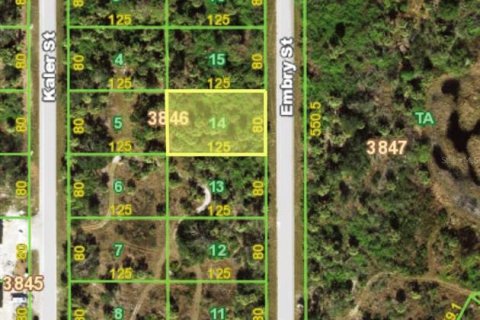 Land in Port Charlotte, Florida № 2166078 - photo 3
