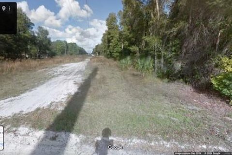 Land in Orange City, Florida № 2161643