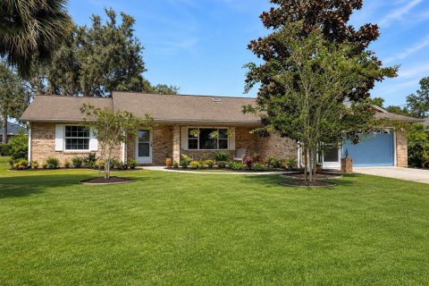 Villa ou maison à Palm Coast, Floride 3 chambres, 152.36 m2 № 2320924