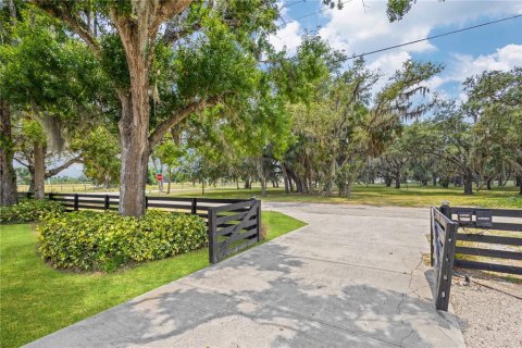 Villa ou maison à vendre à Arcadia, Floride: 3 chambres, 364.64 m2 № 1817804 - photo 6