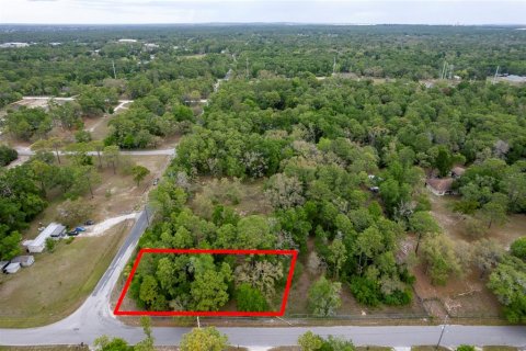Terrain à Brooksville, Floride № 2155865