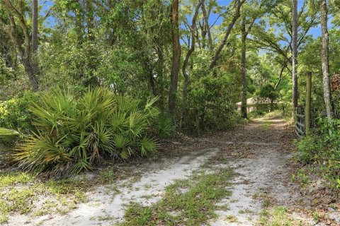 Villa ou maison à vendre à Chiefland, Floride: 3 chambres, 223.71 m2 № 2199737 - photo 5