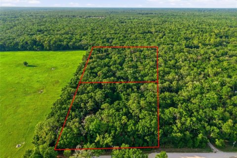 Villa ou maison à vendre à Chiefland, Floride: 3 chambres, 223.71 m2 № 2199737 - photo 4