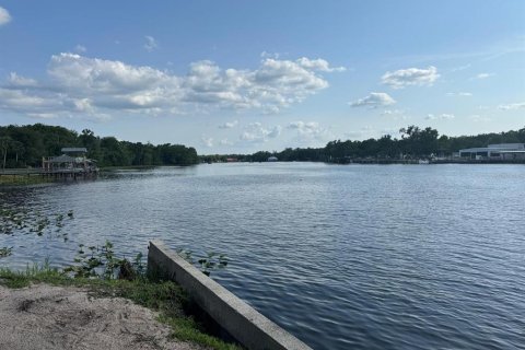 Land in Astor, Florida № 1743251 - photo 10