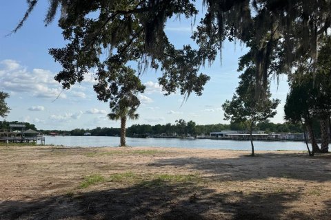 Land in Astor, Florida № 1743251 - photo 17