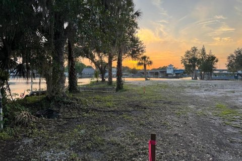Land in Astor, Florida № 1743251 - photo 14