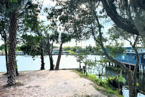 Land in Astor, Florida № 1743251 - photo 8