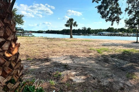 Land in Astor, Florida № 1743251 - photo 5
