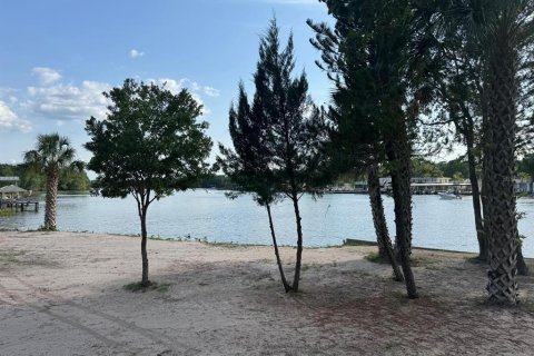 Land in Astor, Florida № 1743251 - photo 9