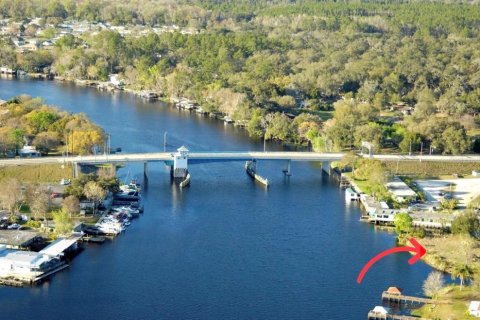 Land in Astor, Florida № 1743251 - photo 3