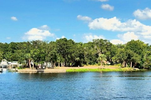 Land in Astor, Florida № 1743251 - photo 6