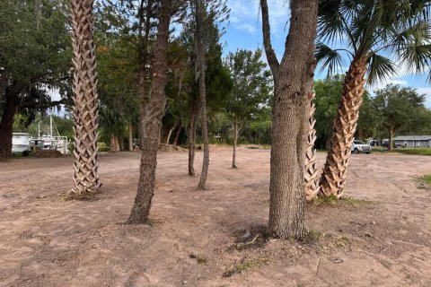 Land in Astor, Florida № 1743251 - photo 19
