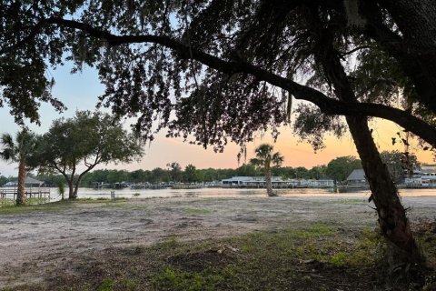Land in Astor, Florida № 1743251 - photo 24
