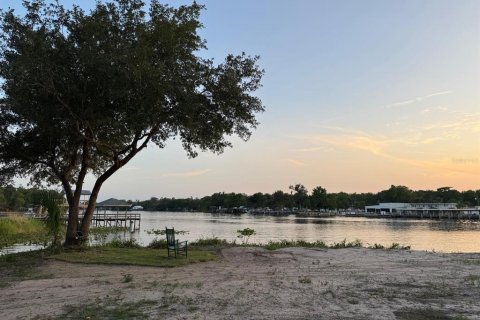 Land in Astor, Florida № 1743251 - photo 15