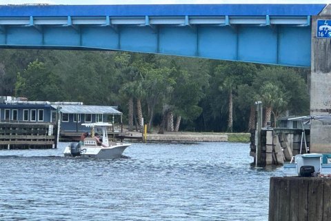Land in Astor, Florida № 1743251 - photo 23