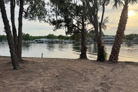 Land in Astor, Florida № 1743251 - photo 16