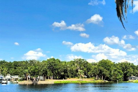 Land in Astor, Florida № 1743251 - photo 1