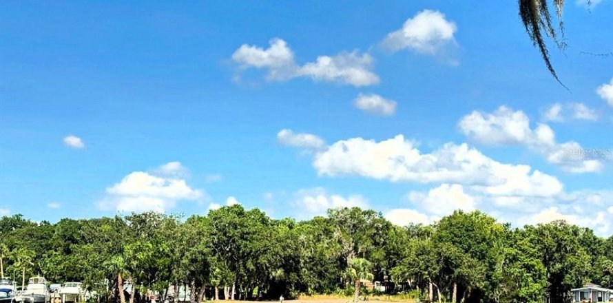 Land in Astor, Florida № 1743251