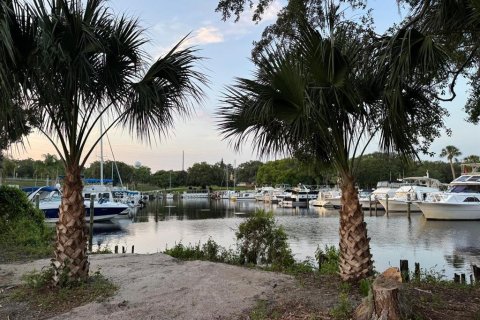 Land in Astor, Florida № 1743251 - photo 20