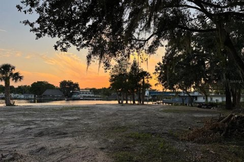 Land in Astor, Florida № 1743251 - photo 21