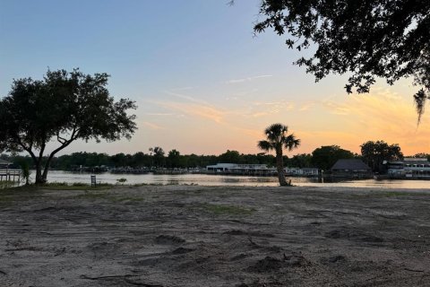 Land in Astor, Florida № 1743251 - photo 22