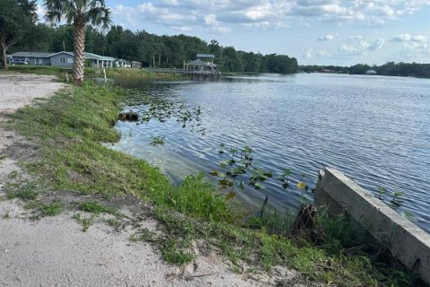 Land in Astor, Florida № 1743251 - photo 12