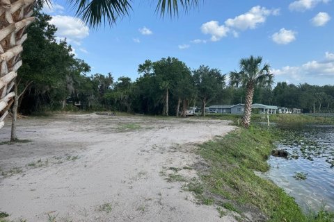 Land in Astor, Florida № 1743251 - photo 11