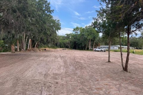 Land in Astor, Florida № 1743251 - photo 13