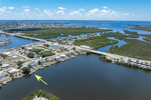 Villa ou maison à vendre à Port Charlotte, Floride: 2 chambres, 195.47 m2 № 2410027 - photo 9