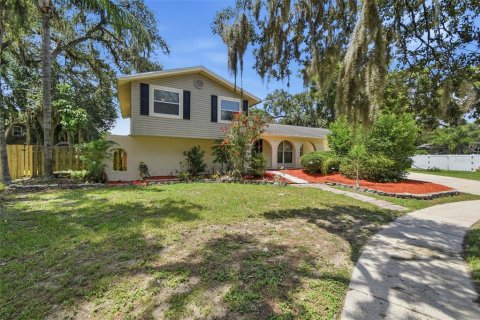 Casa en venta en Valrico, Florida, 4 dormitorios, 161.19 m2 № 2235462 - foto 4