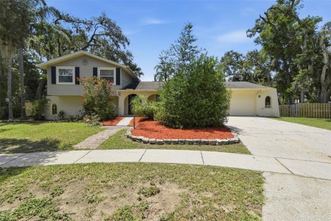 House in Valrico, Florida 4 bedrooms, 161.19 sq.m. № 2235462