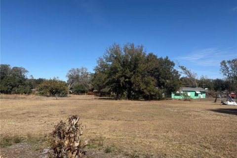 Terreno en venta en Mulberry, Florida № 2159792 - foto 2