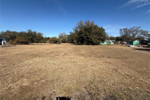 Land in Mulberry, Florida № 2159792