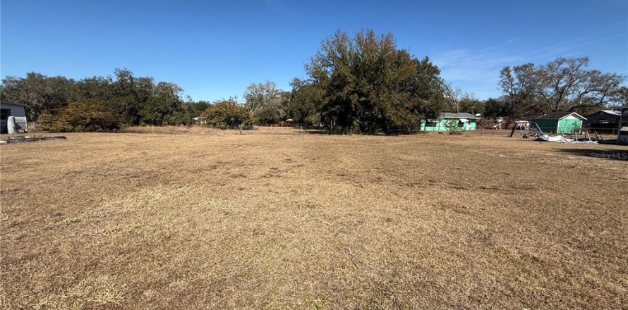 Terreno en Mulberry, Florida № 2159792
