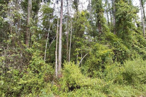 Land in Astor, Florida № 2160719 - photo 2