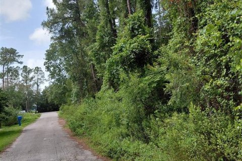 Land in Astor, Florida № 2160719