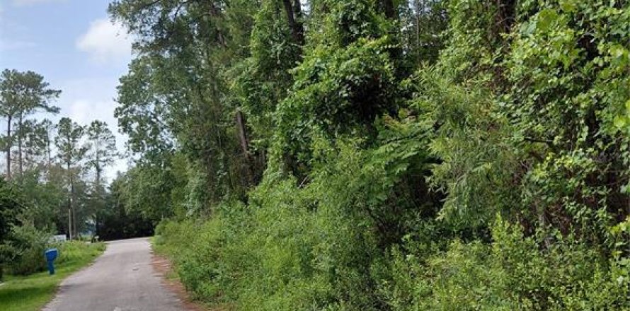 Land in Astor, Florida № 2160719