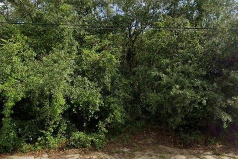 Land in Spring Hill, Florida № 2342437