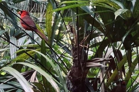 Villa ou maison à vendre à Miami, Floride: 4 chambres, 74.69 m2 № 1963386 - photo 24