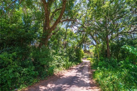 Land in Altamonte Springs, Florida № 1246690 - photo 10