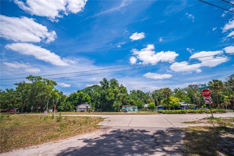 Land in Altamonte Springs, Florida № 1246690 - photo 3