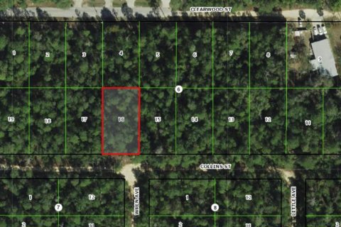 Land in Inverness, Florida № 2165144