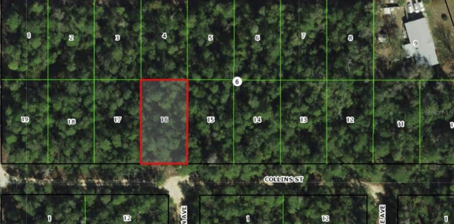 Land in Inverness, Florida № 2165144